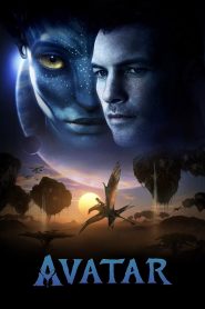 Avatar (2009) [Hindi-English] Blu-Ray