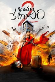 Bhamakalapam 2 (2024) [Hindi-Telugu] WEB-DL