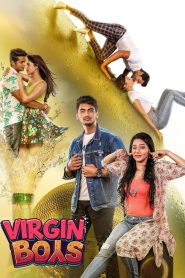 Virgin Boys (2025) [Hindi-Telugu] WEB-DL